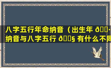 八字五行年命纳音（出生年 🌷 纳音与八字五行 🐧 有什么不同）